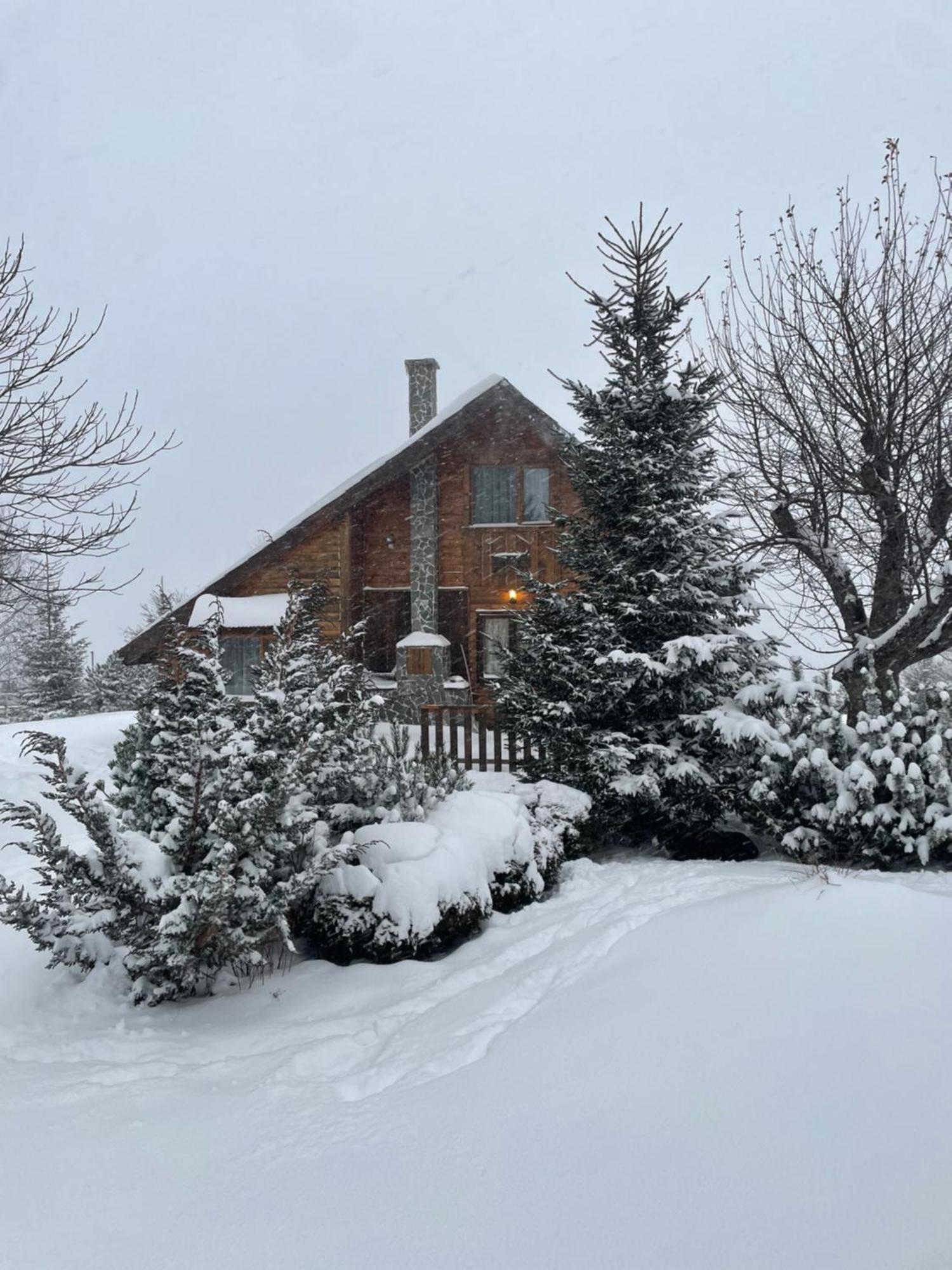 Chalet Ro Peştera Exterior foto